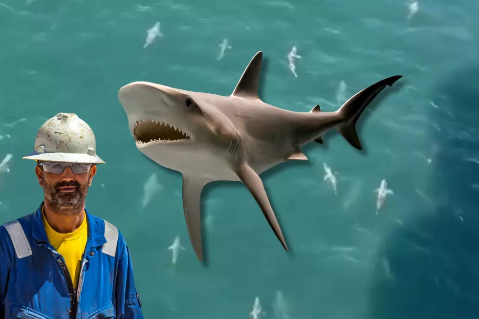 Oil Platform Team Surprised by Dozens of Sharks in Texas Gulf